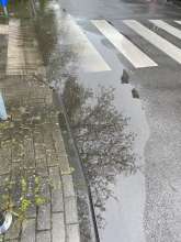 Bild zu gemeldetem Anliegen vom *2024-04-20 13:54:53