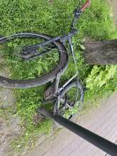 Bild zu gemeldetem Anliegen vom *2024-04-26 15:27:33