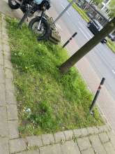 Bild zu gemeldetem Anliegen vom *2024-04-26 15:27:33