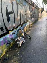 Bild zu gemeldetem Anliegen vom *2024-04-21 18:13:14