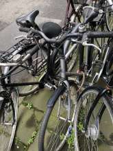 Bild zu gemeldetem Anliegen vom *2024-04-09 12:04:56