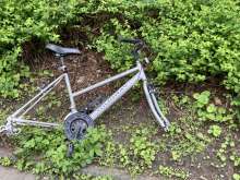 Bild zu gemeldetem Anliegen vom *2024-04-15 18:27:07