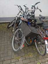 Bild zu gemeldetem Anliegen vom *2024-04-07 09:27:09