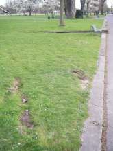 Bild zu gemeldetem Anliegen vom *2024-04-22 21:23:19