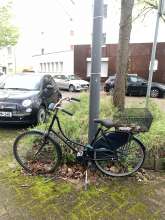 Bild zu gemeldetem Anliegen vom *2024-04-01 21:27:09