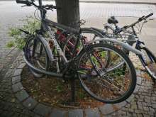 Bild zu gemeldetem Anliegen vom *2024-04-25 12:27:12