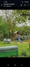 Bild zu gemeldetem Anliegen vom *2024-04-21 06:27:20
