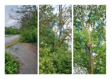 Bild zum Google-Standort 51.018365, 6.923617
