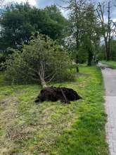 Bild zu gemeldetem Anliegen vom *2024-04-21 12:27:51