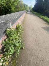 Bild zu gemeldetem Anliegen vom *2024-04-23 16:46:28