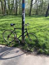 Bild zu gemeldetem Anliegen vom *2024-04-06 09:27:26