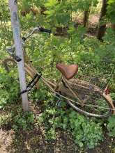 Bild zu gemeldetem Anliegen vom *2024-04-06 10:09:39