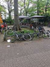 Bild zu gemeldetem Anliegen vom *2024-04-07 12:39:11