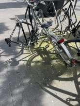 Bild zu gemeldetem Anliegen vom *2024-04-13 13:29:53