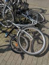 Bild zu gemeldetem Anliegen vom *2024-05-13 21:28:49