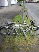 Bild zu gemeldetem Anliegen vom *2024-05-04 13:17:52