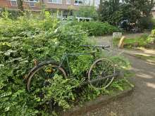 Bild zu gemeldetem Anliegen vom *2024-05-15 21:17:08