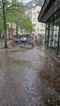 Bild zu gemeldetem Anliegen vom *2024-05-06 19:05:06