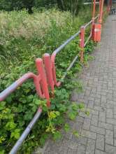 Bild zu gemeldetem Anliegen vom *2024-05-26 13:50:07