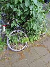 Bild zu gemeldetem Anliegen vom *2024-05-24 06:31:18