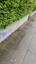 Bild zu gemeldetem Anliegen vom *2024-05-24 10:49:37