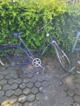 Bild zu gemeldetem Anliegen vom *2024-05-23 12:36:32