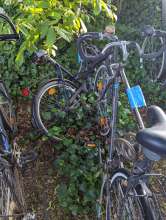 Bild zu gemeldetem Anliegen vom *2024-05-15 06:43:54