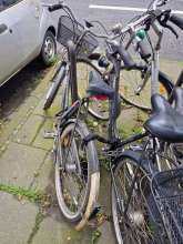 Bild zu gemeldetem Anliegen vom *2024-05-22 12:38:47