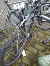 Bild zu gemeldetem Anliegen vom *2024-05-03 12:59:51