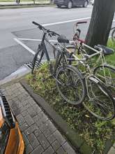 Bild zu gemeldetem Anliegen vom *2024-05-07 15:29:19