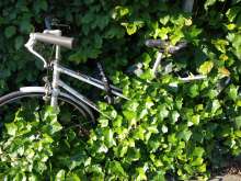 Bild zu gemeldetem Anliegen vom *2024-05-13 09:44:56