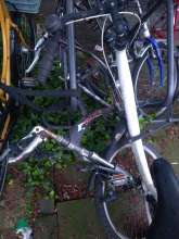 Bild zu gemeldetem Anliegen vom *2024-05-15 21:02:33