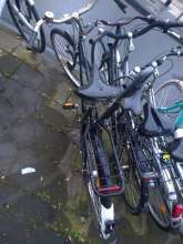 Bild zu gemeldetem Anliegen vom *2024-05-15 21:06:12