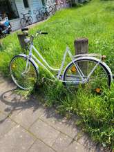 Bild zu gemeldetem Anliegen vom *2024-05-20 15:44:23