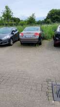 Bild zu gemeldetem Anliegen vom *2024-05-21 12:11:59