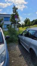 Bild zu gemeldetem Anliegen vom *2024-05-23 10:09:51