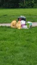 Morgen wird der ganze Dreck im Park verteilt sein vom *2024-05-01 18:29:53