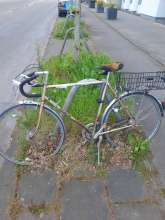 Bild zu gemeldetem Anliegen vom *2024-05-01 18:29:53