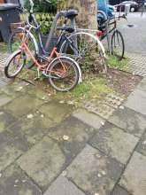 Bild zu gemeldetem Anliegen vom *2024-05-03 13:26:13