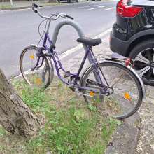 Bild zu gemeldetem Anliegen vom *2024-05-15 13:17:42