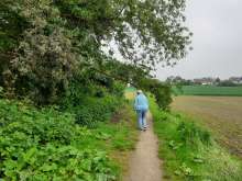 Bild zu gemeldetem Anliegen vom *2024-05-20 14:07:02