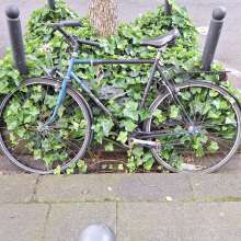 Bild zu gemeldetem Anliegen vom *2024-05-22 22:44:33