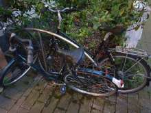 Bild zu gemeldetem Anliegen vom *2024-05-22 21:36:12