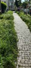 Bild zu gemeldetem Anliegen vom *2024-05-27 06:27:52