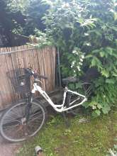 Bild zu gemeldetem Anliegen vom *2024-05-27 12:31:45