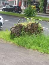 Bild zu gemeldetem Anliegen vom *2024-05-31 14:54:05