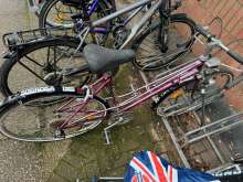 Bild zu gemeldetem Anliegen vom *2024-05-03 12:08:41