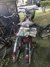 Bild zu gemeldetem Anliegen vom *2024-05-17 06:20:43