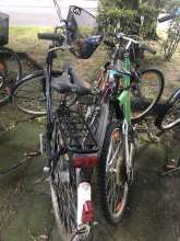 Bild zu gemeldetem Anliegen vom *2024-05-17 06:24:51