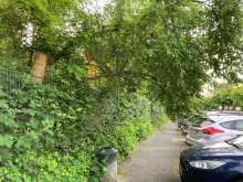 Bild zu gemeldetem Anliegen vom *2024-05-21 09:58:59